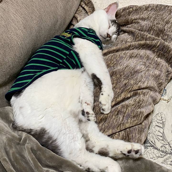 79de4c82 0dbe 4f18 8a46 667879e5ecf4 1584682944123