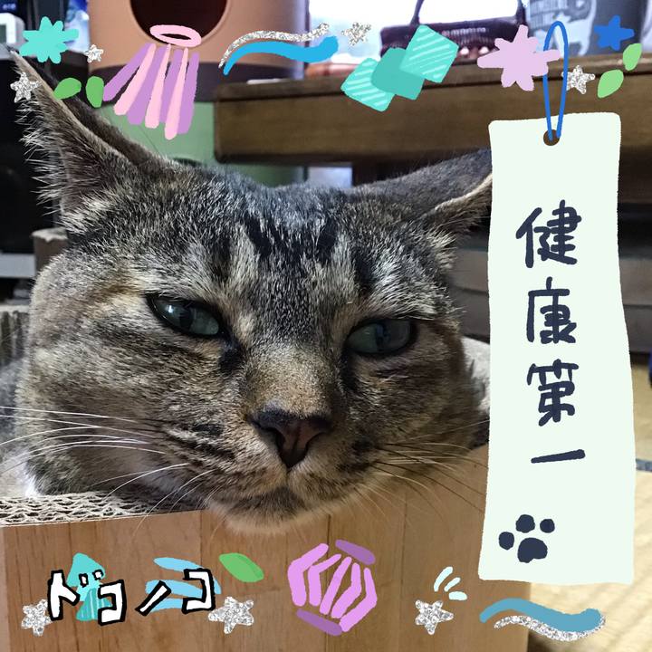 79de5a10 7015 4974 b4c2 2aceb2a2bd5e 1721038666926