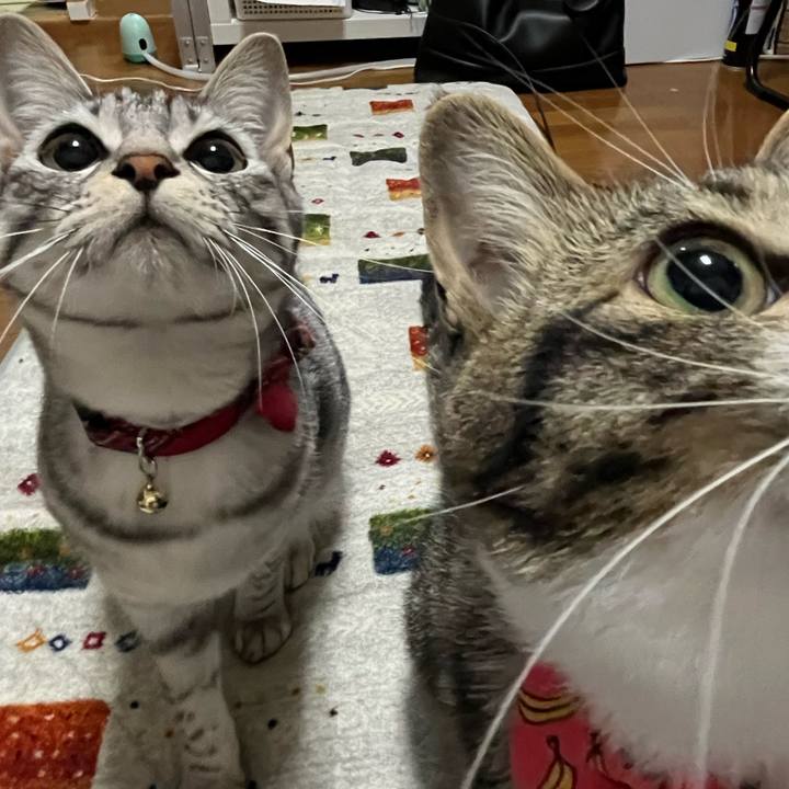 79de7824 58fd 48a0 925c 0d577e783086 1719216029041