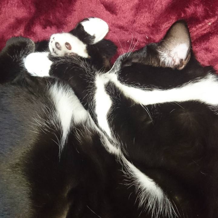 79de8f17 fdda 478d 9ff7 5074d570432f 1512917563956