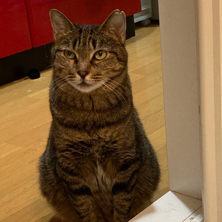 79deb65d 1b01 4d93 8de8 c3a63f73253e 1598177976233