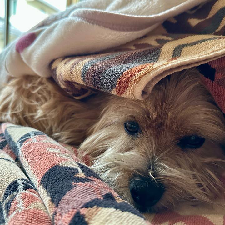 79deb6a4 41e7 4b27 b9ba 832145ef269c 1771317660121