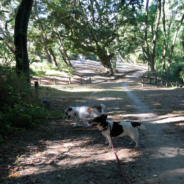 79dec7b1 47f5 4d03 8544 7bee8abd7265 1532820625559