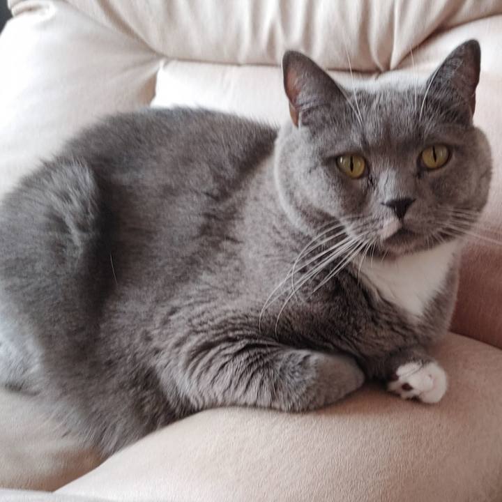 79deef26 ad88 4793 8f16 6dd5b36b0277 1672719424177