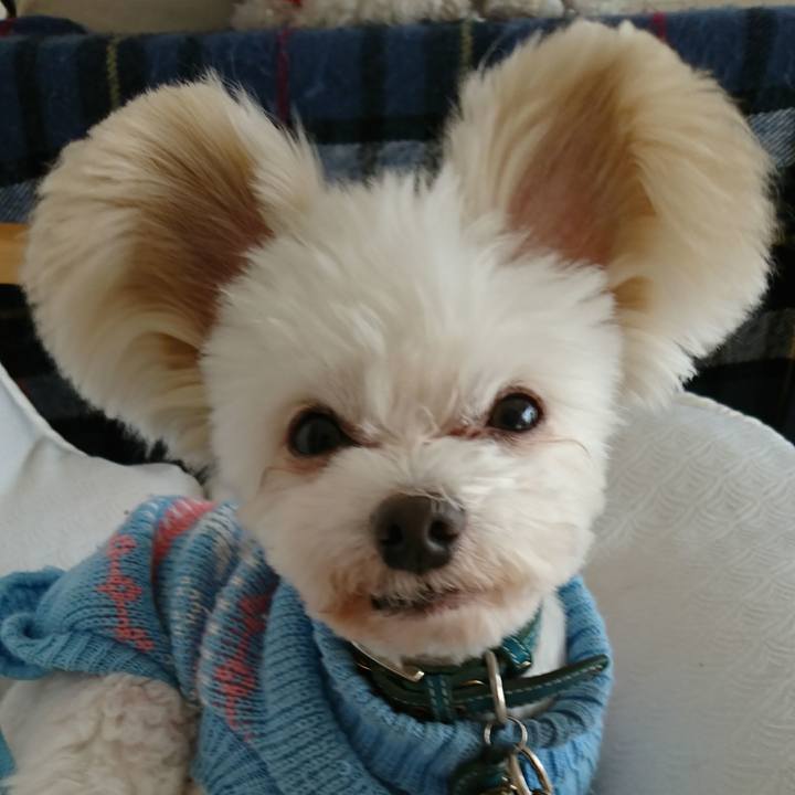 79def0a7 652b 4c14 acfb cc8fc1bdb2c6 1517735915712