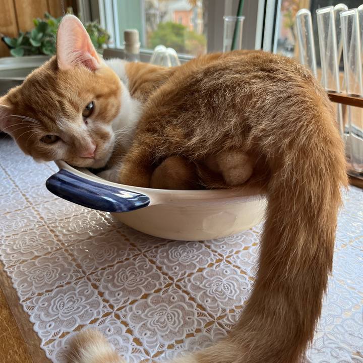 79df0ca5 76ec 4b9e a5be 48ad2cd73e9a 1668377386099