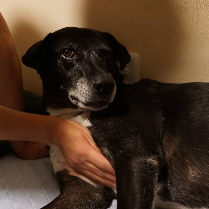 79df149b f7ae 448b a4a7 9d68bb3b72c3 1756897210525