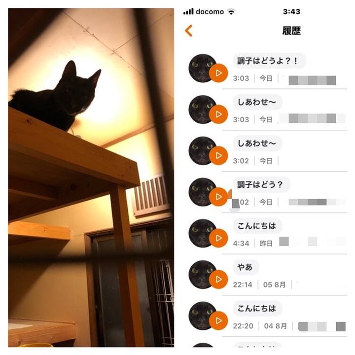 79df5623 1df1 498d a8d0 89a9399b8aaf 1659898197922