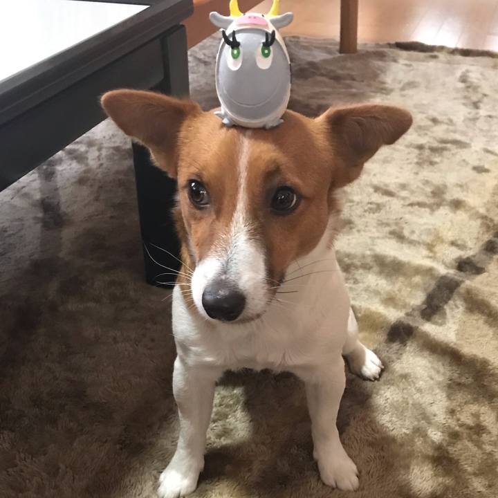 79df6cf7 a080 4c84 81a9 23193e254630 1609647547574