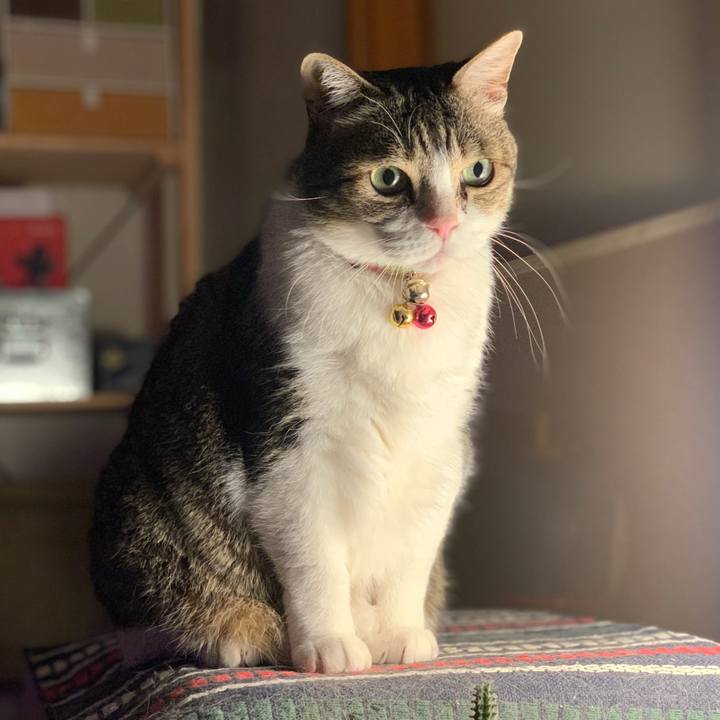 79df70fe 527b 4468 b6f2 c39cd535c010 1647170694236