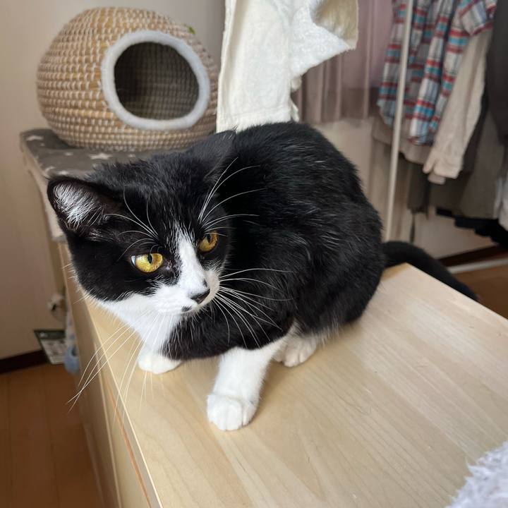 79dfa91f 5ae6 48b9 a298 0aef25a14fb8 1735442410568