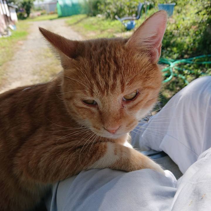 79dfdc90 b11b 4114 883a c4a3f2793cf1 1568508716950