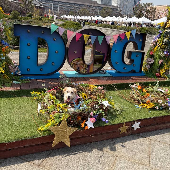 79dff5cd 21f0 4814 b3d5 259ab0b204c8 1774158314257