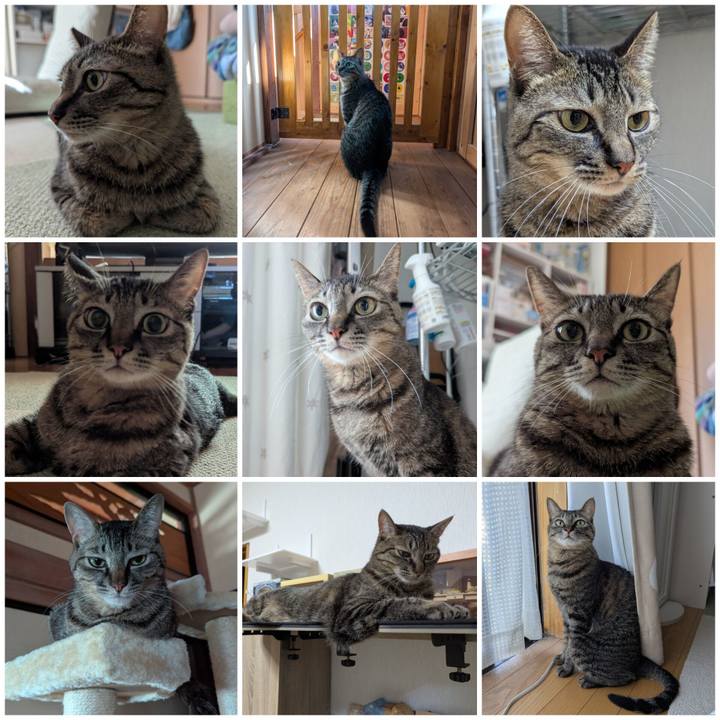 79e003af 2241 4730 bd3d 88339c954c20 1754461682182