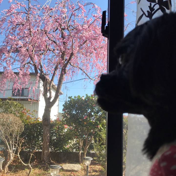 79e003cc 26de 4980 80b5 4c9aeb268c7b 1555429091015