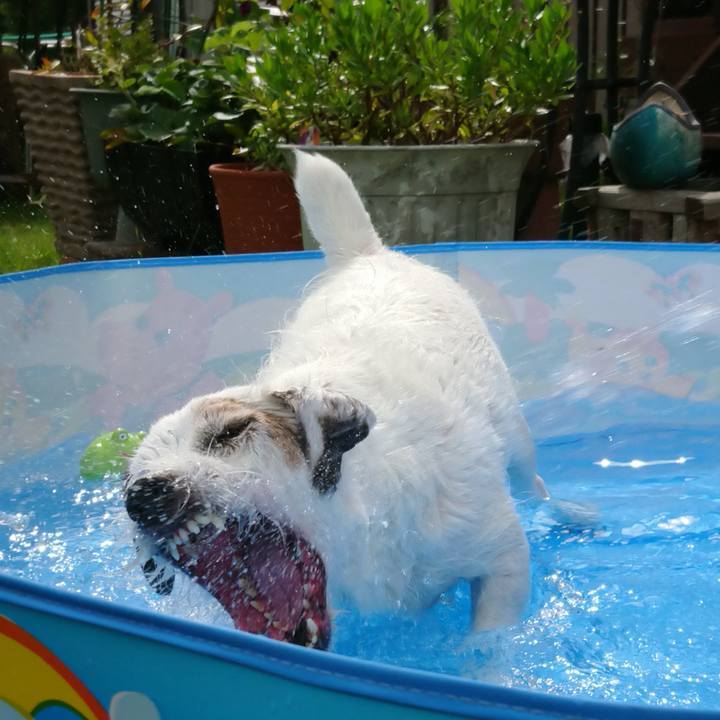 79e04954 76c9 4018 ae8b 7854fdf4c8e6 1530317190670