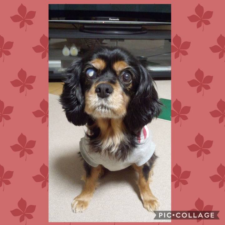 79e0a193 c4e4 48f6 9732 5ad33a1bb3a0 1538998389306