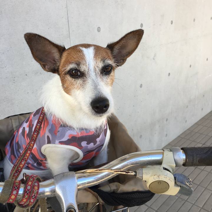 79e0a8a4 096a 46b2 8c77 aced778c75b5 1600473388776