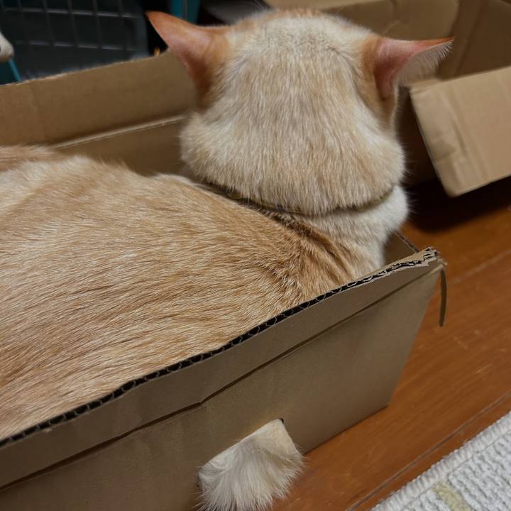 79e0c083 9e68 48f0 bade 94b85fbc77ea 1754379200378