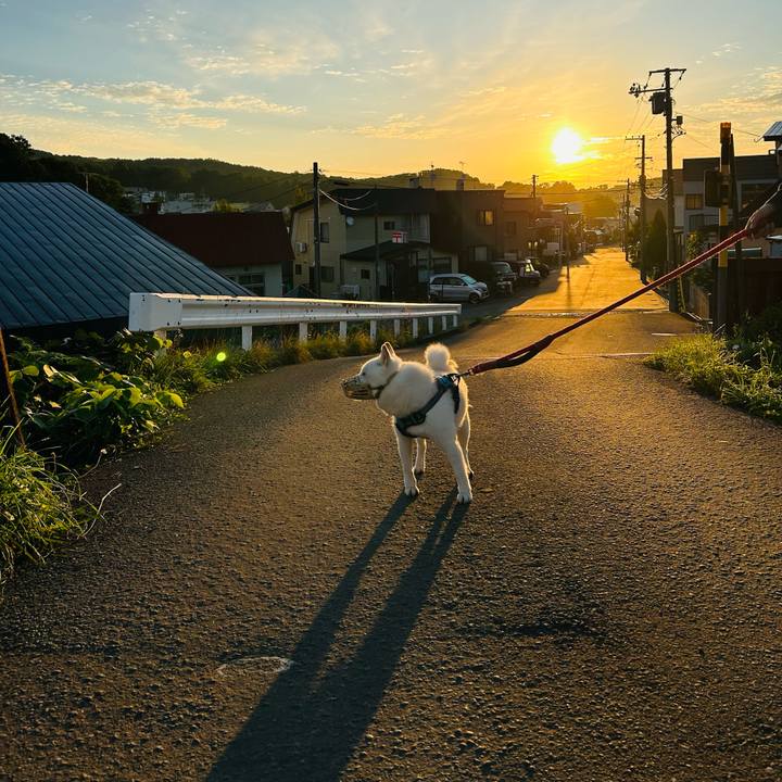 79e0e327 a671 4d0f acea 7a5c687b77c1 1757019600519