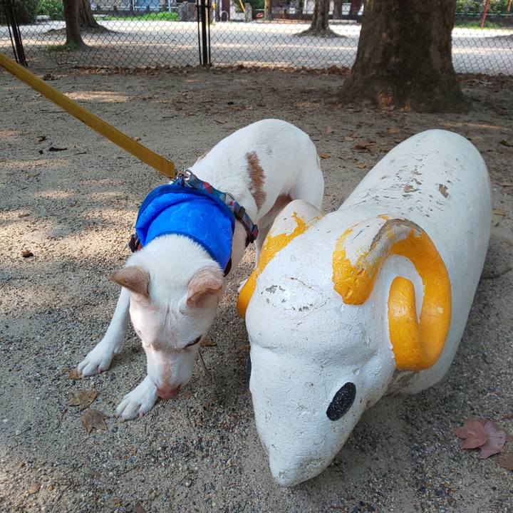 79e10076 c7c6 4b0c 9179 347b057f862e 1564788623462