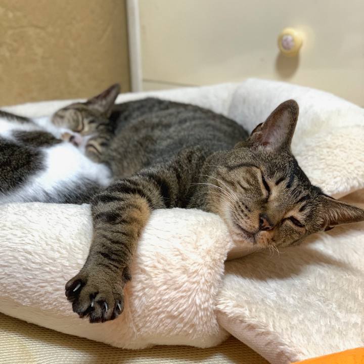 79e108c2 cf05 495f 871a b8d7428b9a5c 1557190320189