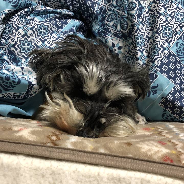 79e1161b 08cb 4a81 ad5d 509499d6dc25 1546550237709