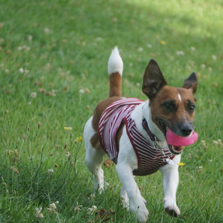 79e1e7ac b06f 4e6d 9e30 8ecd66c39c43 1531695766482