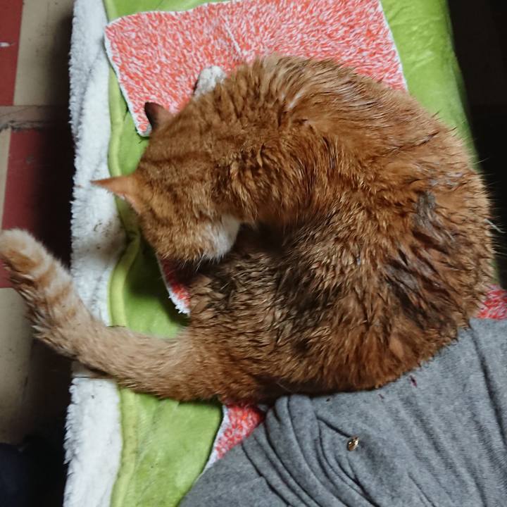 79e1f969 c0ee 4c1e 86b8 7a230574174f 1579825024297