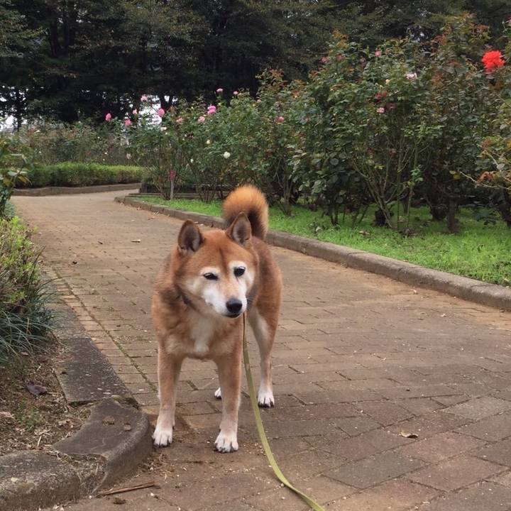 79e26ff2 5b7b 4f19 ac1c aea6c2d27c96 1633605254073