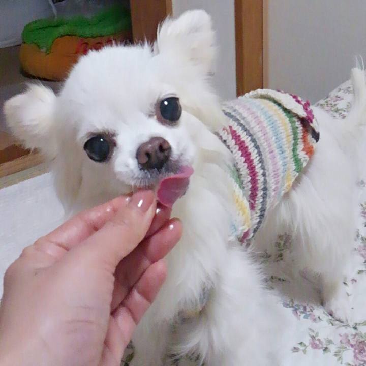 79e289c2 dac8 4a52 bdaa 5cd037fc7bd6 1516794195358