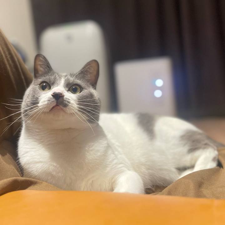 79e28a48 7f2f 4e58 a78a 76cae62da618 1673796313549