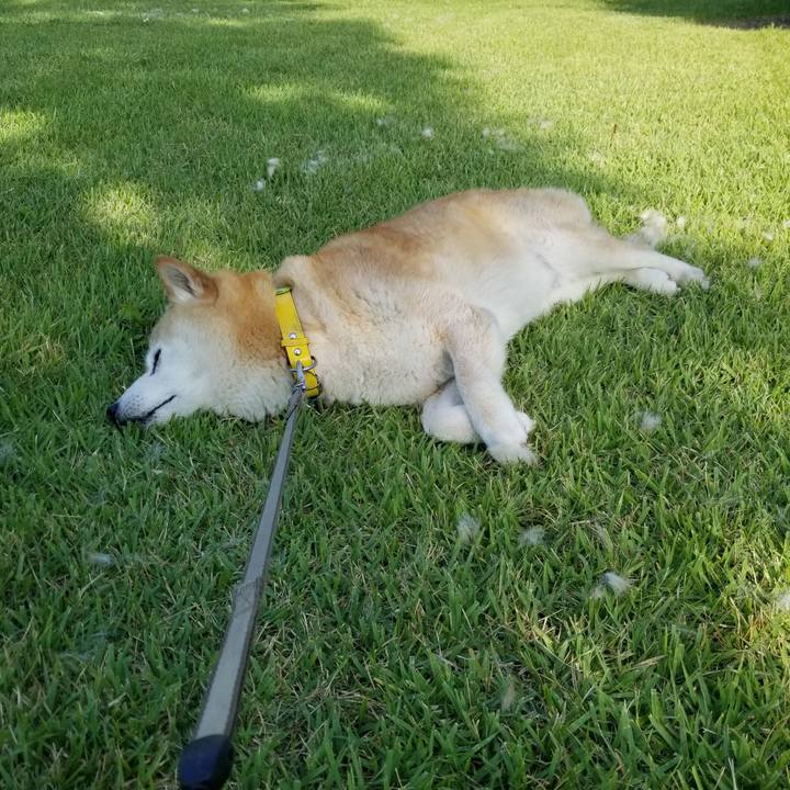 79e28b18 62f1 4e14 9fb8 eaa21aa2ebf6 1687679261118