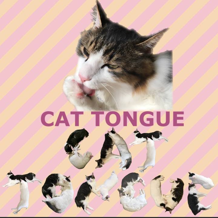 79e2955f cc2c 48ed acf0 d0e559e3c757 1668441448684