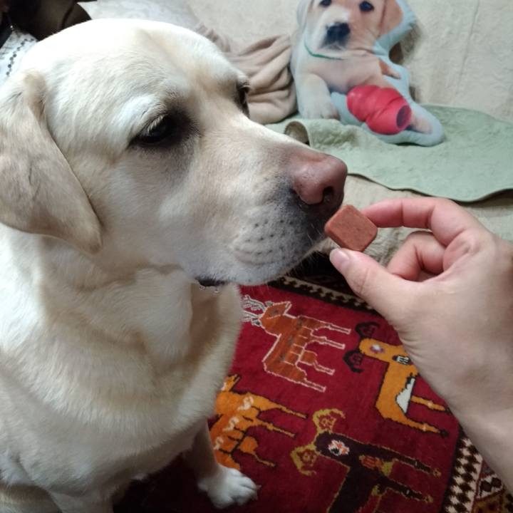 79e2d5f5 5bcb 45c1 a010 0418063448b1 1638186710139