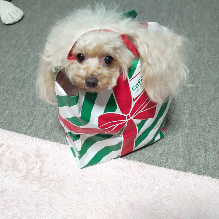 79e337d8 da70 4fa1 a3bb 35861791e932 1575378041997