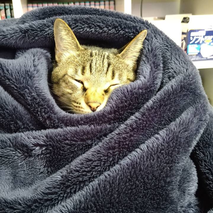 79e3a434 a146 4493 968a 72b7eebdc774 1667116793404