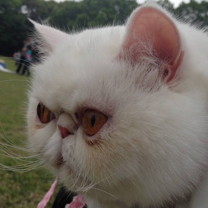 79e3a970 2e8e 44e2 a221 13c051462c47 1509977102776