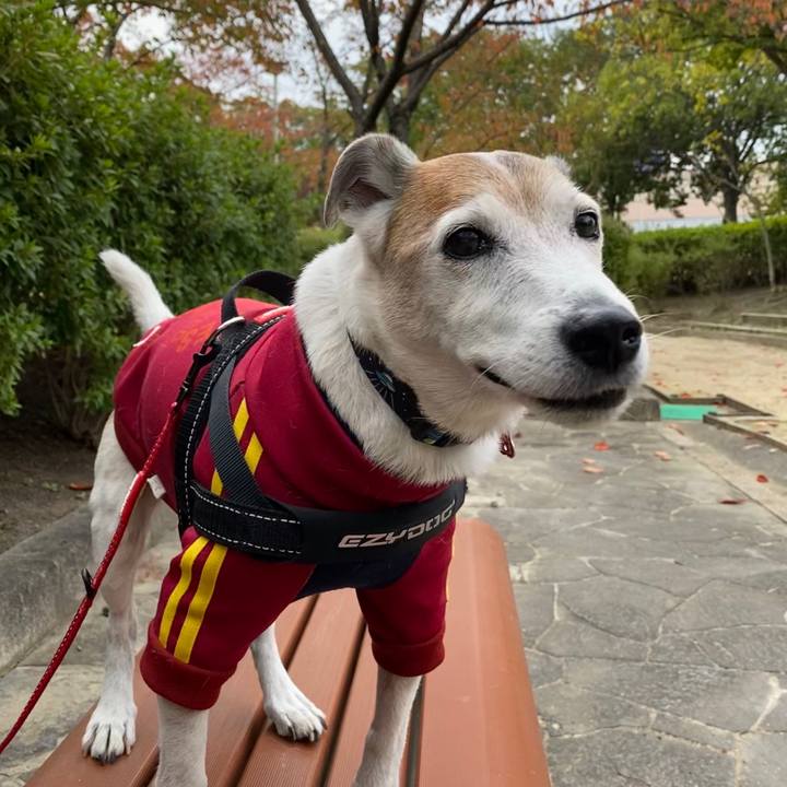 79e3b546 cdd7 40e7 bddc 5cc571447f20 1604198800861