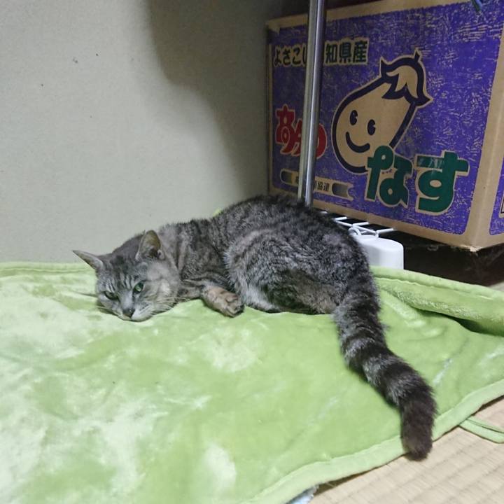 79e3df4d 41d2 47e9 a01e b96e69d8797b 1596972146176