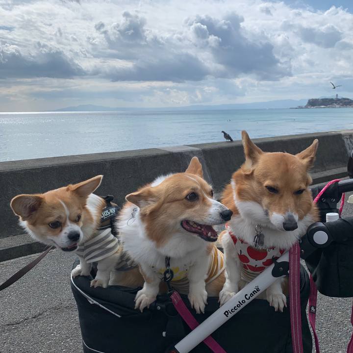 79e40c07 9e78 4fde 8cb4 f2b68b0b07b6 1583450284110