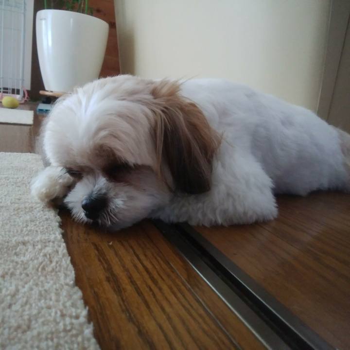 79e419f7 6d56 407f ba46 18c1b91efc95 1530322265919