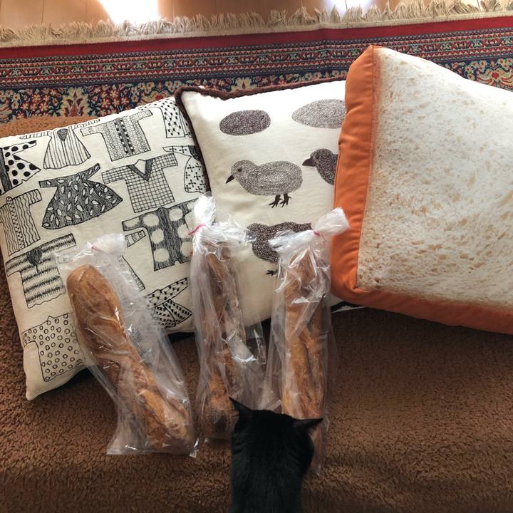 79e43e8d efcc 4af9 b36f 133daf18b78d 1554523446352