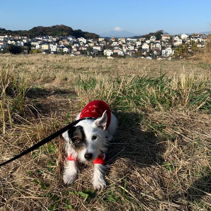 79e440ce 0729 43bc 8d93 bd94a63ca311 1670113021827