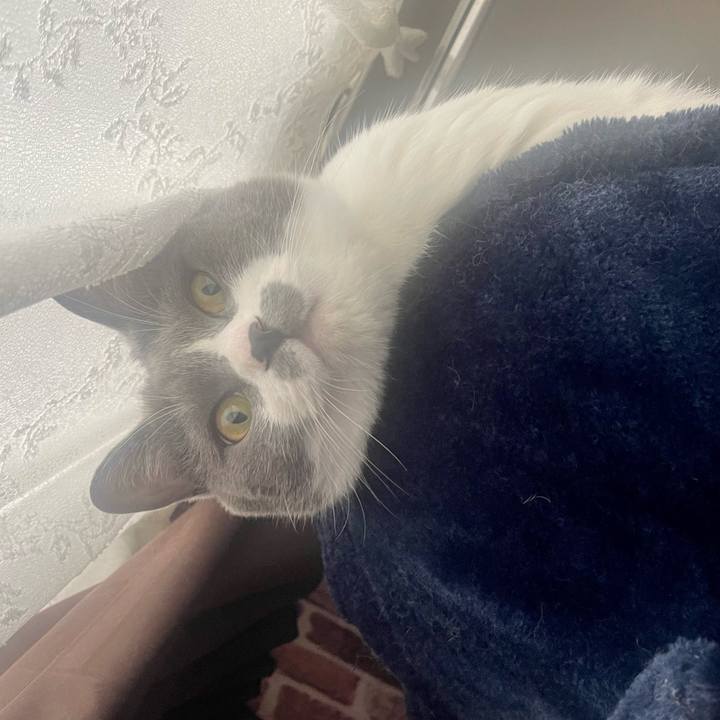 79e47efd 0383 46c0 b5a6 0ca9d51b2731 1687470818034