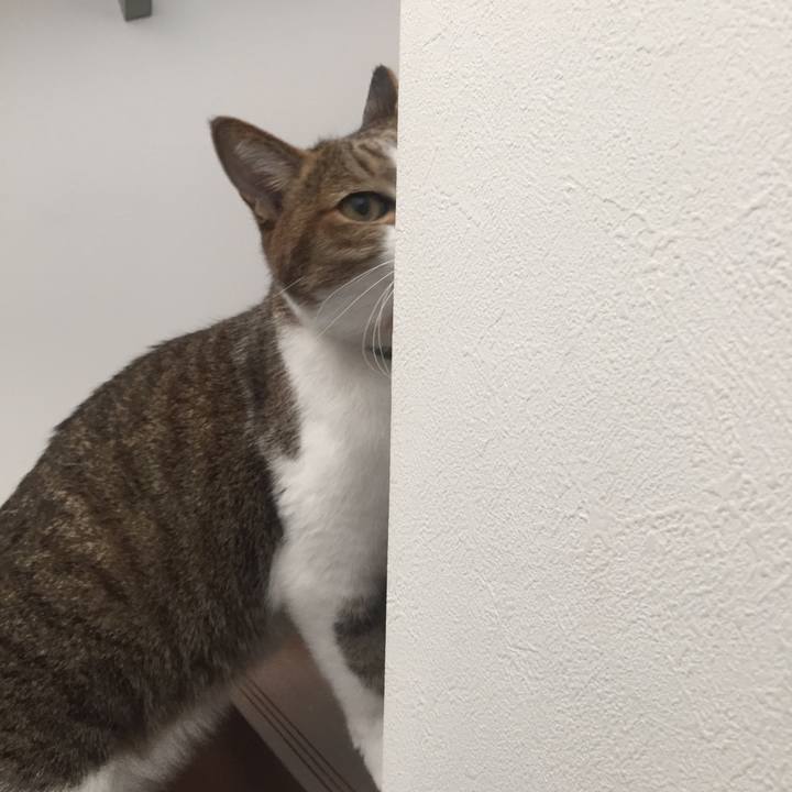 79e48968 99ca 4be7 8f45 e88561d14f7a 1509950437961