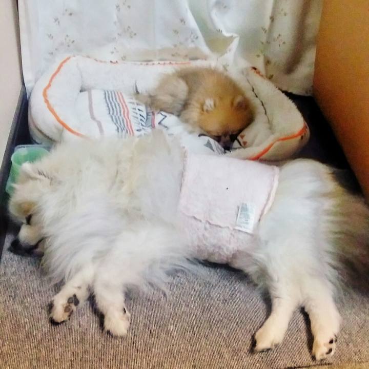 79e49cfb 08df 43a3 be60 cf2b7d035d94 1510816895207