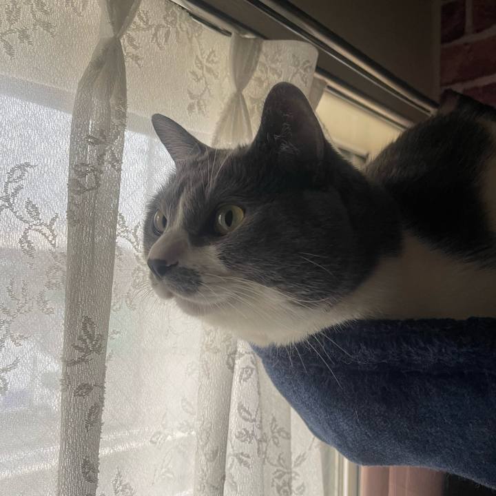 79e4ee0e 6d51 4ae5 9970 cc856dfad402 1705014116049