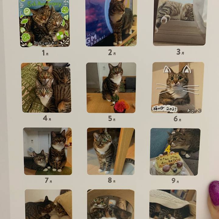 79e51332 52ce 4ea4 9593 d3cf64134823 1637674925569