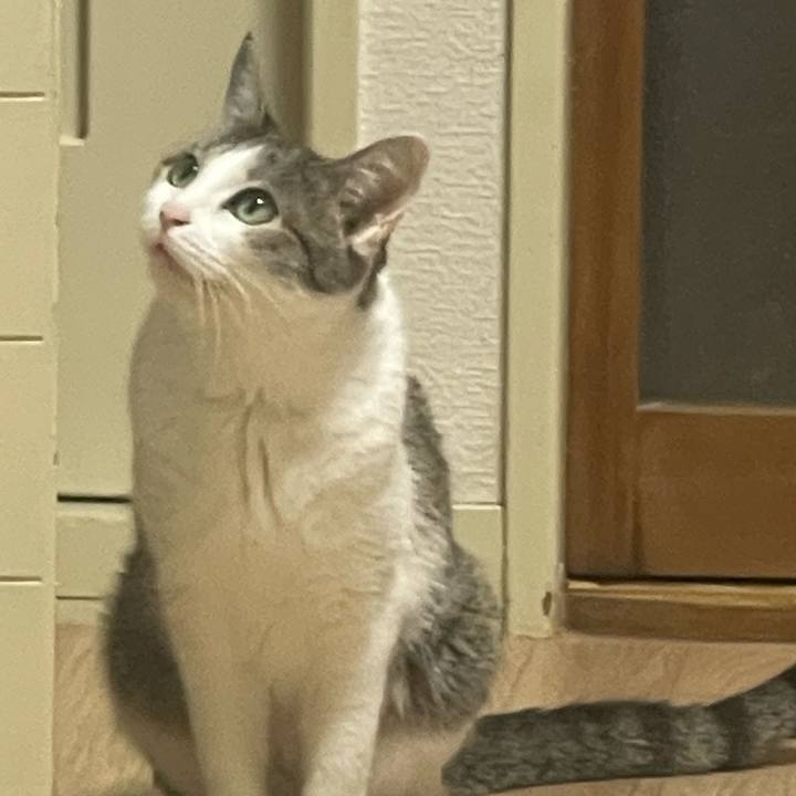 79e572bd 3148 45d9 bf24 f7f7c7f7fca4 1677406767465